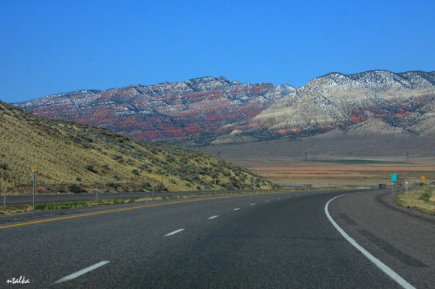 Bryce canyon.. It is a hell of a place to lose a cow