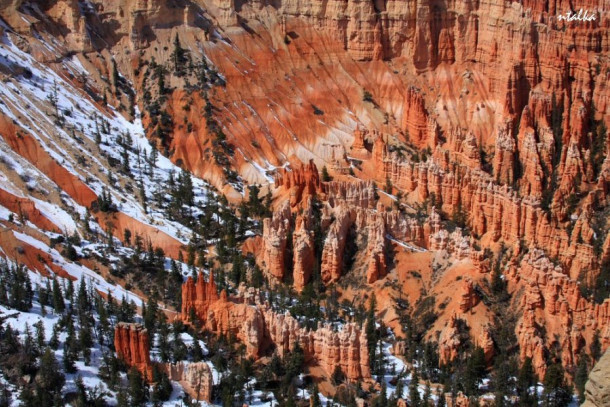 Bryce canyon.. It is a hell of a place to lose a cow