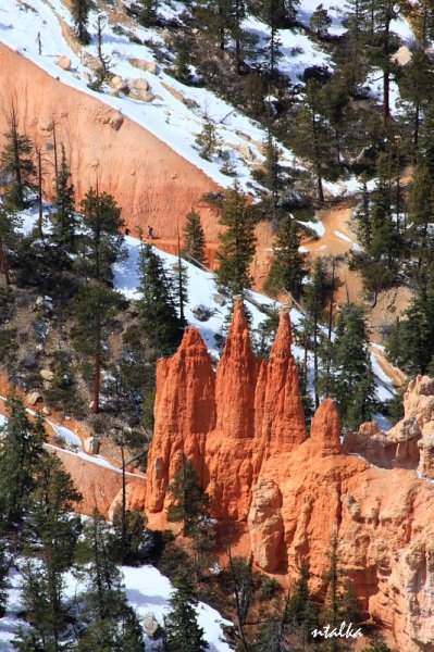 Bryce canyon.. It is a hell of a place to lose a cow