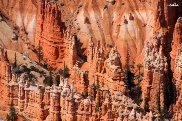 Bryce canyon.. It is a hell of a place to lose a cow