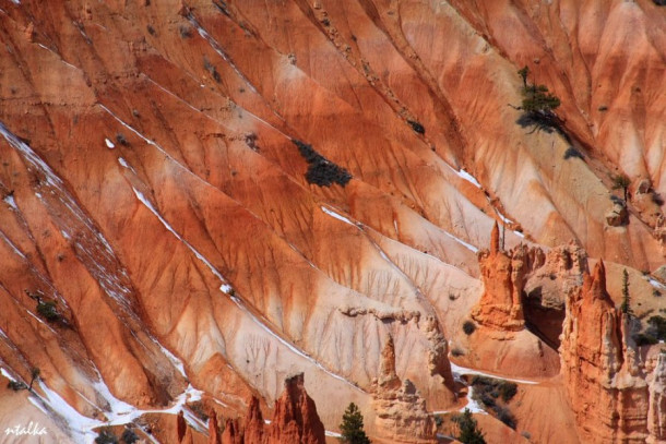 Bryce canyon.. It is a hell of a place to lose a cow