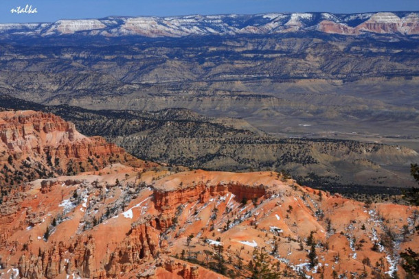 Bryce canyon.. It is a hell of a place to lose a cow