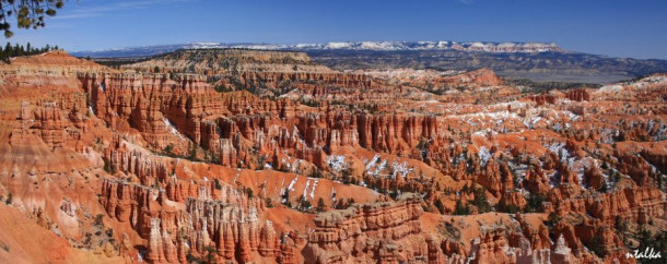 Bryce canyon.. It is a hell of a place to lose a cow