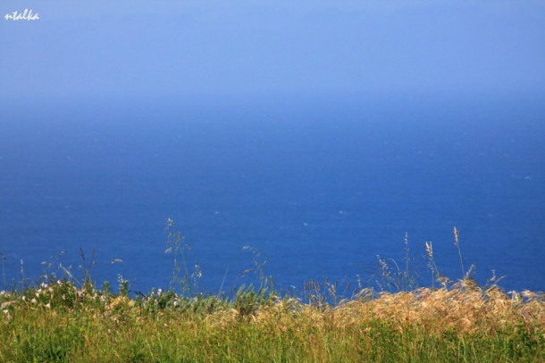 Big Sur (hwy 1, CA)