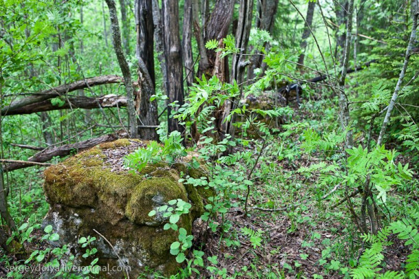 Ладога. День 5. Линия Маннергейма, броды и болото