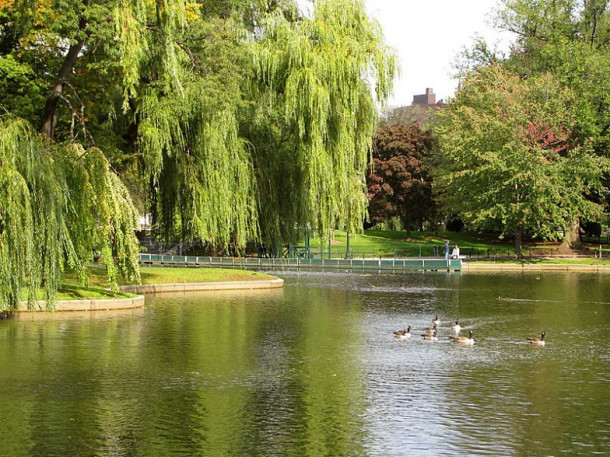 Boston. Boston Common Park. Public Gardens.