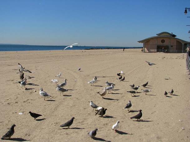 New York. Brighton Beach.