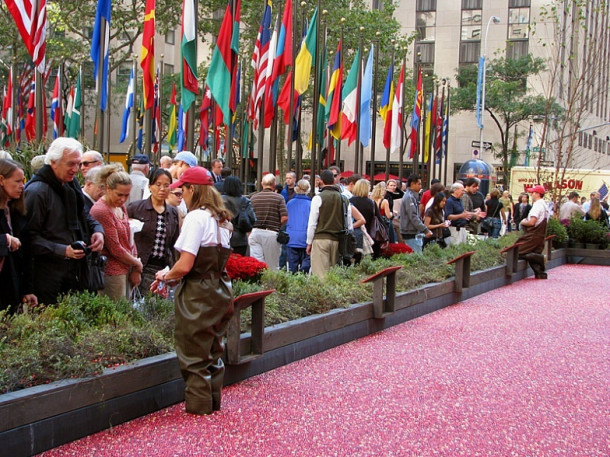 New York. Rockefeller Center.