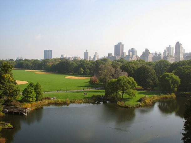 New York. Guggenheim Museum. Central park.