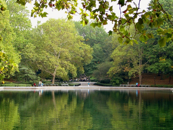 New York. Guggenheim Museum. Central park.