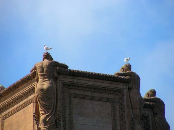 San Francisco. Golden Gate Bridge. Palace of Fine Arts. De Young Museum.