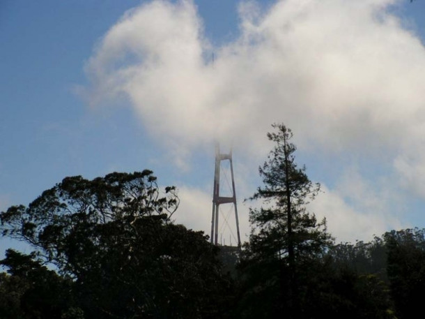 San Francisco. Golden Gate Bridge. Palace of Fine Arts. De Young Museum.