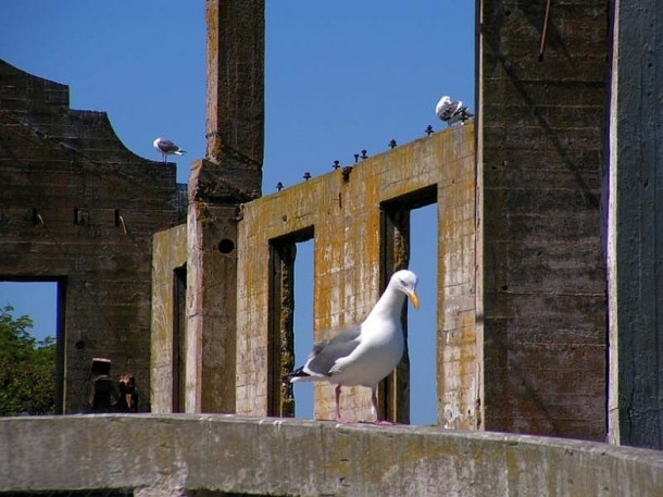 San Francisco. Alcatraz.