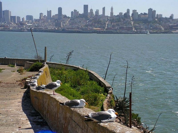 San Francisco. Alcatraz.