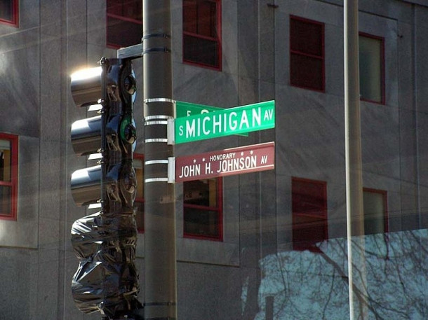 Chicago Tribune. Magnificent mile. Flamingo. City Hall.