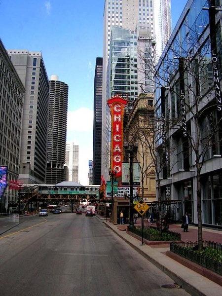 Chicago Tribune. Magnificent mile. Flamingo. City Hall.