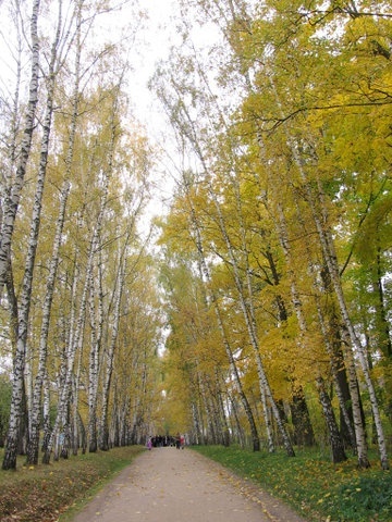 Тульская область. Ясная Поляна. 