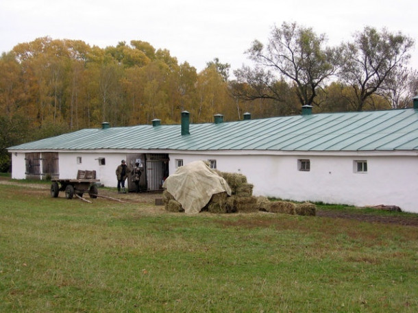 Тульская область. Ясная Поляна. 