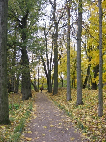 Тульская область. Ясная Поляна. 