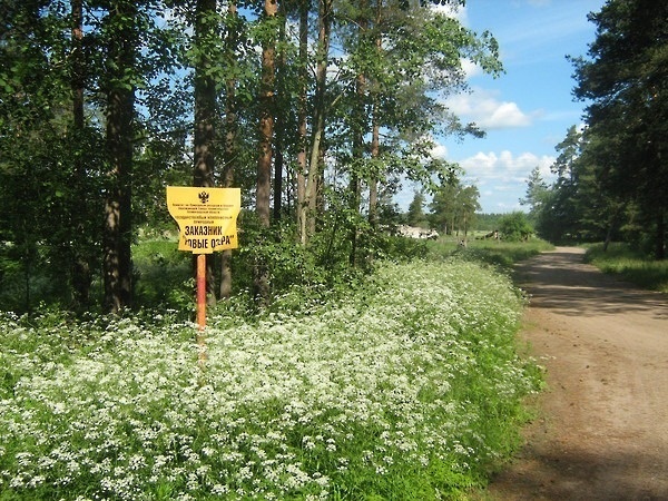 Водный поход в Выборге.