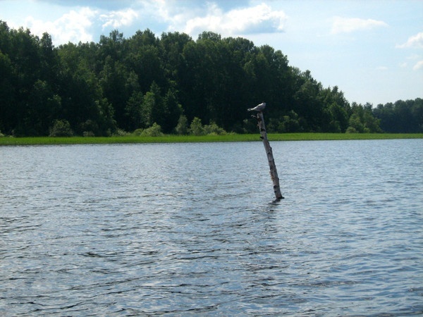 Водный поход в Выборге.