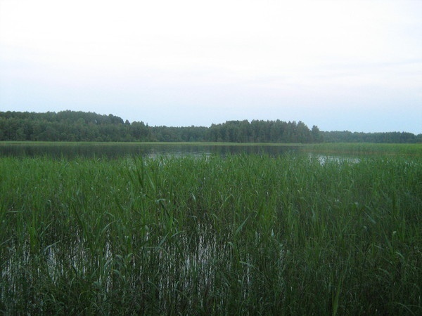 Водный поход в Выборге.