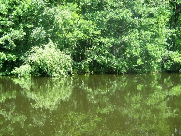 Водный поход в Выборге.