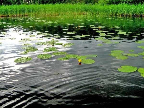 Водный поход в Выборге.