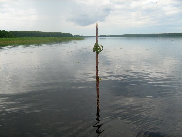 Водный поход в Выборге.