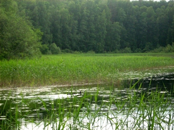 Водный поход в Выборге.