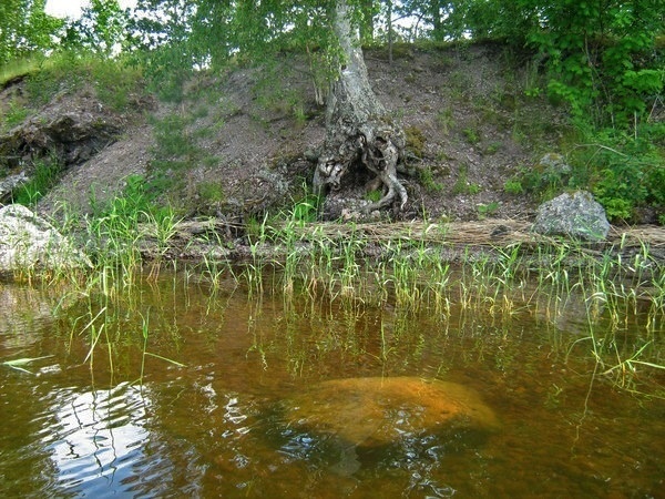 Водный поход в Выборге.