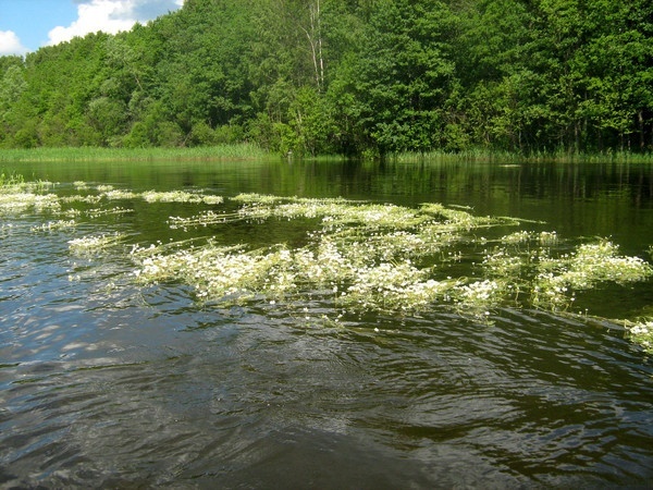 Водный поход в Выборге.