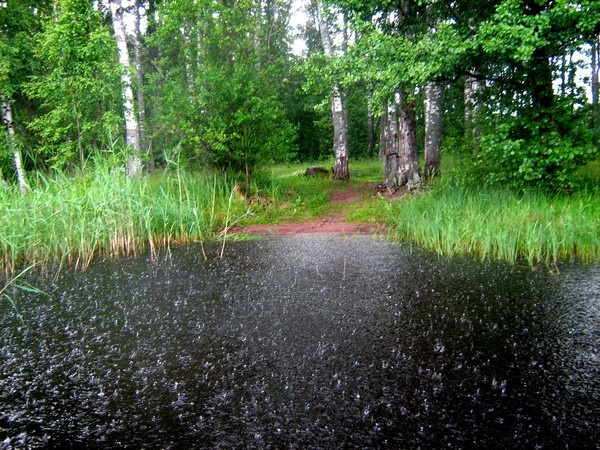 Водный поход в Выборге.