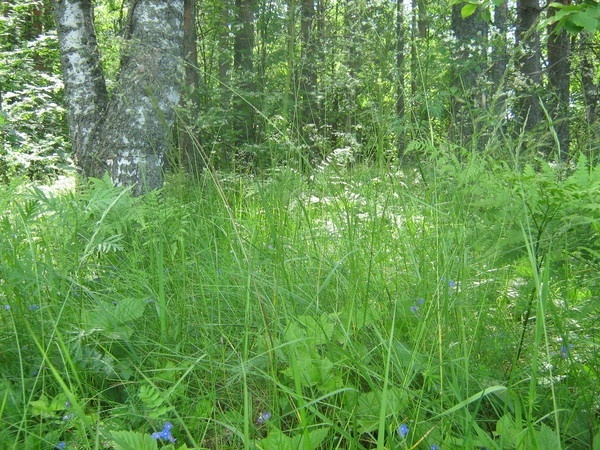 Водный поход в Выборге.