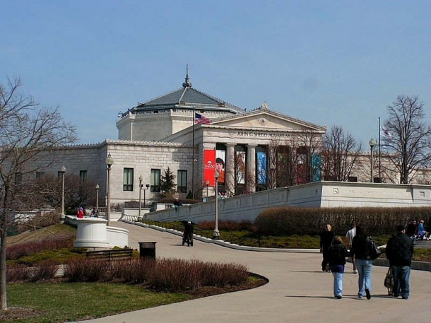 Chicago. Shedd Aquarium.