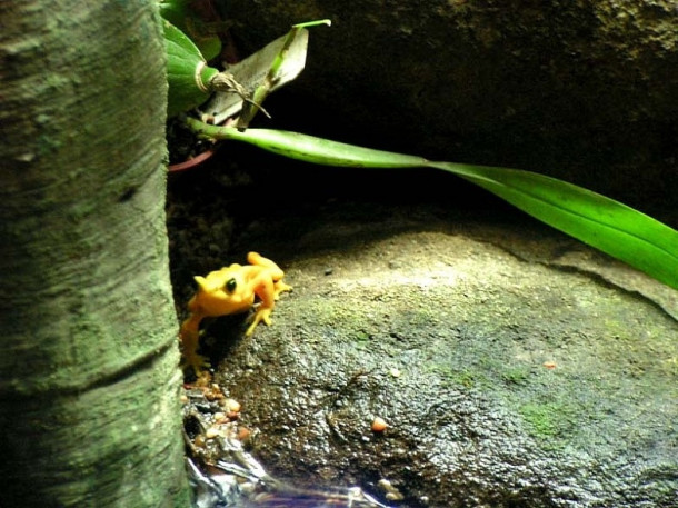 Chicago. Shedd Aquarium.