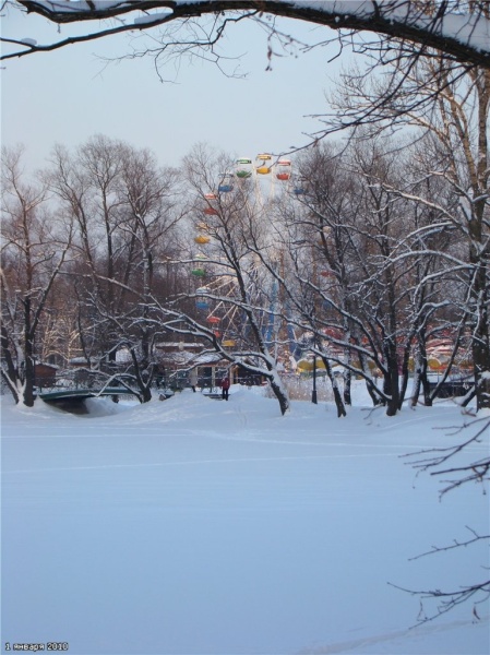 Прогулка в первый день Нового года