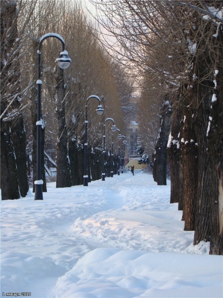 Прогулка в первый день Нового года