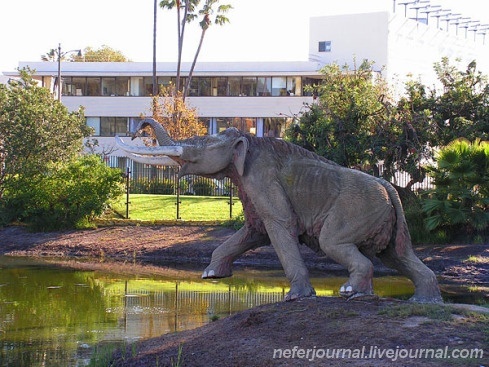 Los Angeles. Korea Town. La Brea Tar Pits.