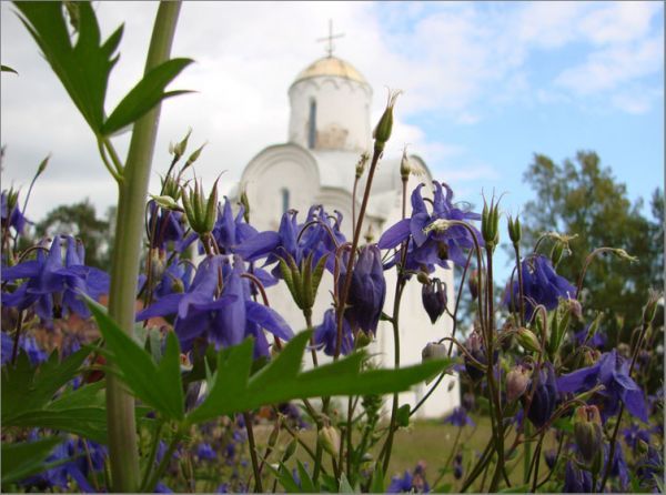 Новгород. Перынский скит