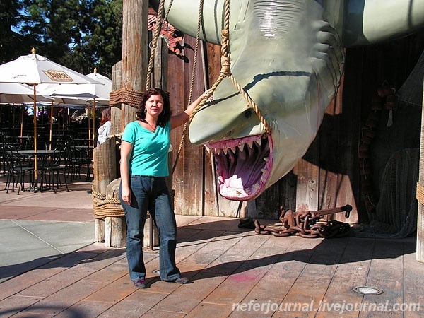 Los Angeles. Universal Studios Hollywood. Shrek 4D, Animal Actors, Simpsons Ride, Jurassic Park.