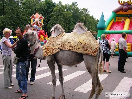 День города в Старой Руссе