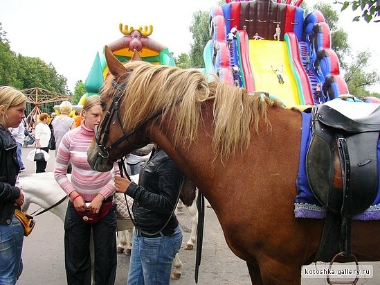 День города в Старой Руссе