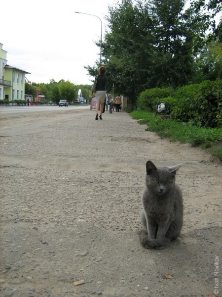 Волжск 2009 (часть 3).