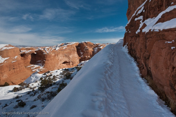 Американский парк Арки