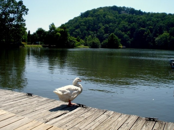 Chimney Rock State Park & Lake Lure, North Carolina