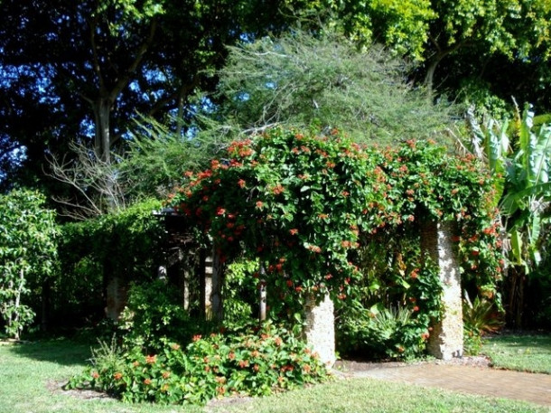 Chocolate Festival at Fairchild Tropical Botanic Gardens.