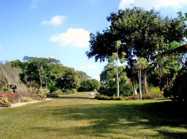 Chocolate Festival at Fairchild Tropical Botanic Gardens.