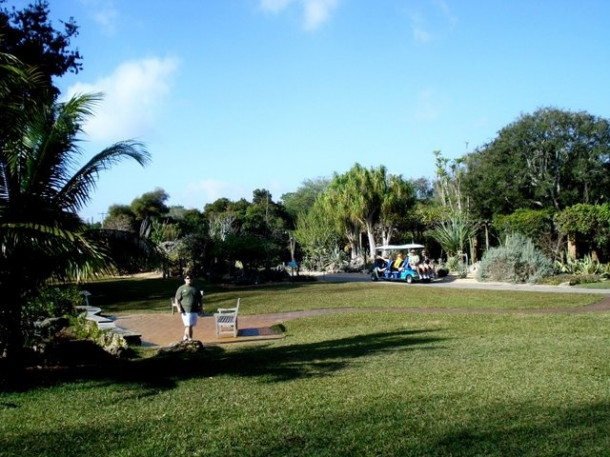 Chocolate Festival at Fairchild Tropical Botanic Gardens.