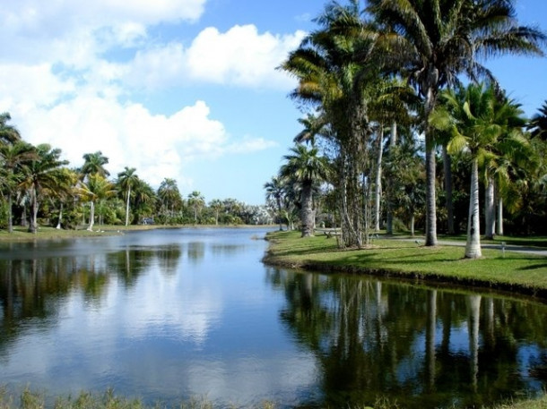 Chocolate Festival at Fairchild Tropical Botanic Gardens.